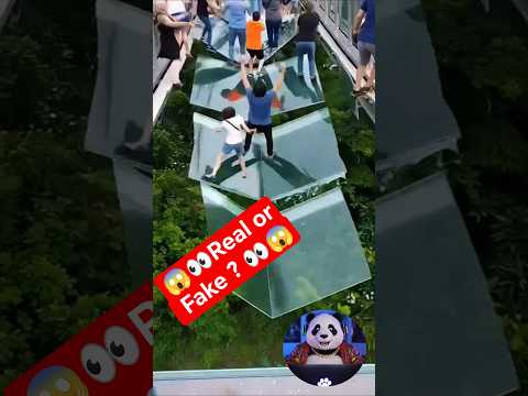 Panda Freaks Out Watching Scary Glass Bridge Collapse! 😨 #shorts
