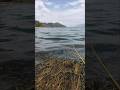 spot mancing ini banyak sekali rumput-rumput air