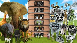 🧱 TALLGRASS ALL ZOONOMALY MONSTERS FAMILY VS REAL ANIMALS SPARTAN KICKING in Garry's Mod !