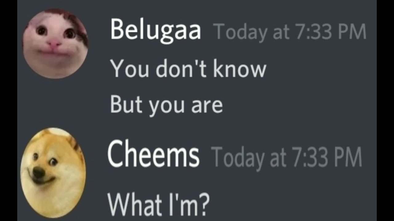 Indian Beluga 🇮🇳 | Cheems