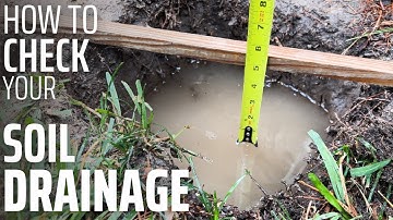 Simple DIY Soil Drainage Test (Do This Before Planting a Fruit Tree!)