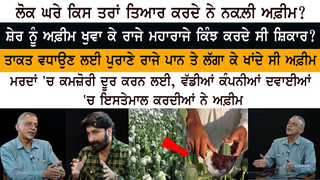 Lion ਨੂੰ Afeem ਖੁਵਾ ਕੇ Raja Maharaja ਕਿੰਝ ਕਰਦੇ ਸੀ Hunting?  ਰਾਜੇ Paan ਤੇ ਲੱਗਾ ਕੇ ਖਾਂਦੇ ਸੀ Afeem