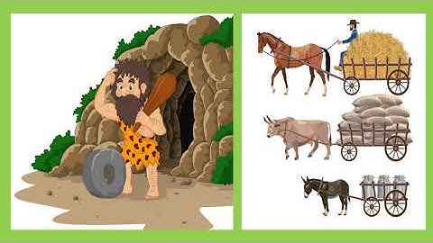 EVS | CHAPTER 11 | LECTURE 2  |VIDEO  8 | CLASS 3