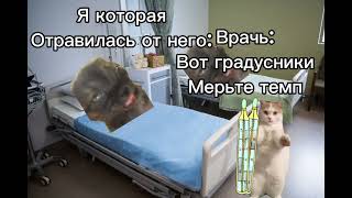 картинка: как я попала в блницу 1 сезон все серии!
