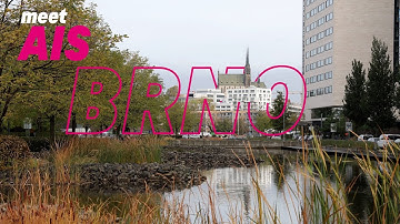 Get to know our AIS team!