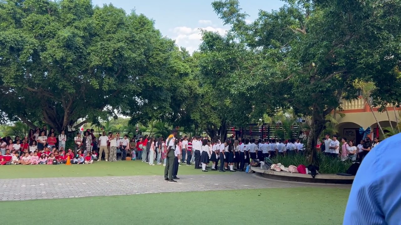 La marcha del colegio saint John