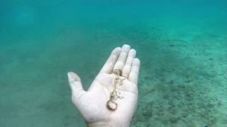 🌊💍Underwater Metal Detecting.Treasure Hunting. Sea Hare. Gold. Silver. Old Coins.