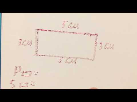 Как найти периметр и площадь премоугольника