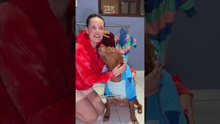 ESCOLHENDO UM LOOK DE FRIO PRA LARINHA 🥶 #animais #cachorro #pitbull #shorts