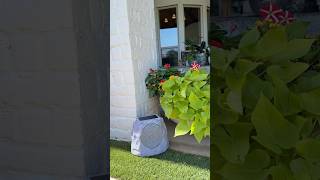 Charged all summer long🙌🏼#outdoordecor #backyard #amazonfinds #rockspeakers #summertime