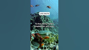 Life: 🔍 Clarity in Complexity - Embrace Simplicity! #shorts #motivation #facts