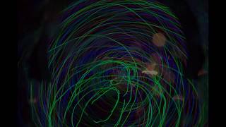 Fotoexkursion Leuchtendes Celle 22.02.2020