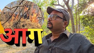 Forest Fire 🔥। जंगल में आग। Fire Near Junglee Resort Rajaji National Park । Fire Impact On Wildlife