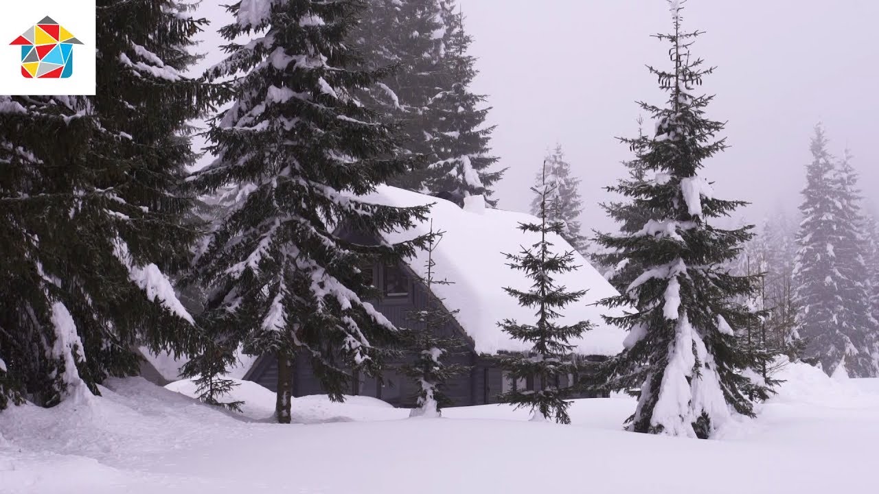 Ambienti TV Show - House / Pokljuka