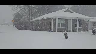 Pensacola Snow !