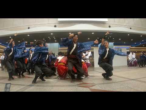 神戸よさこい 2019 心粋 デュオ