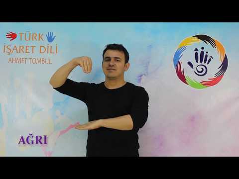Türk İşaret Dili İle İllerin Gösterimi