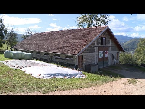 Video: Što Je Dodjela Farme