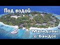 Подводный мир Мальдив, о.Бандос, январь 2021 г.