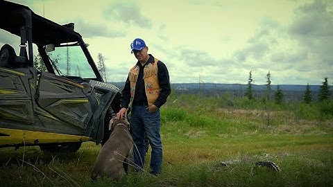 How Indigenous communities are seizing opportunity