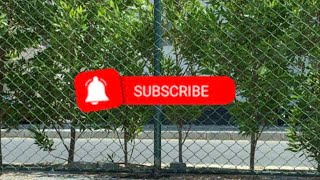 اخر تطورات سكن مصر الإنتاج والسور الخارجي