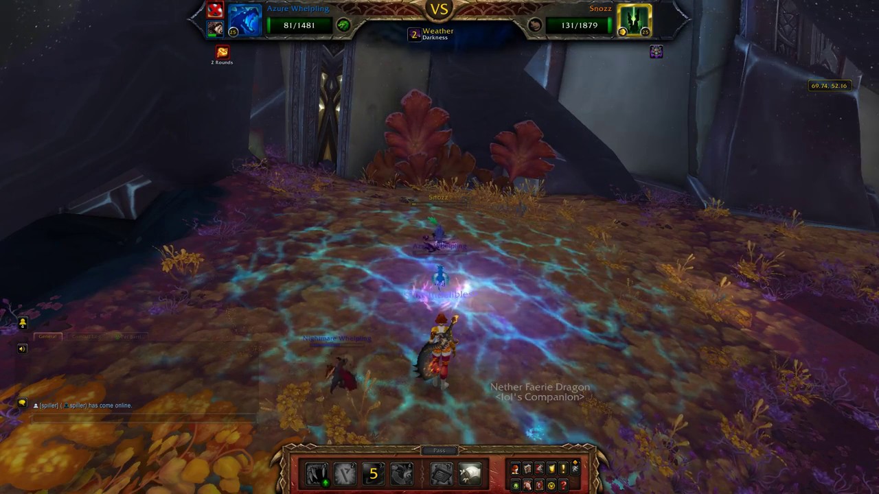 Snozz - Best Dragonkin Team