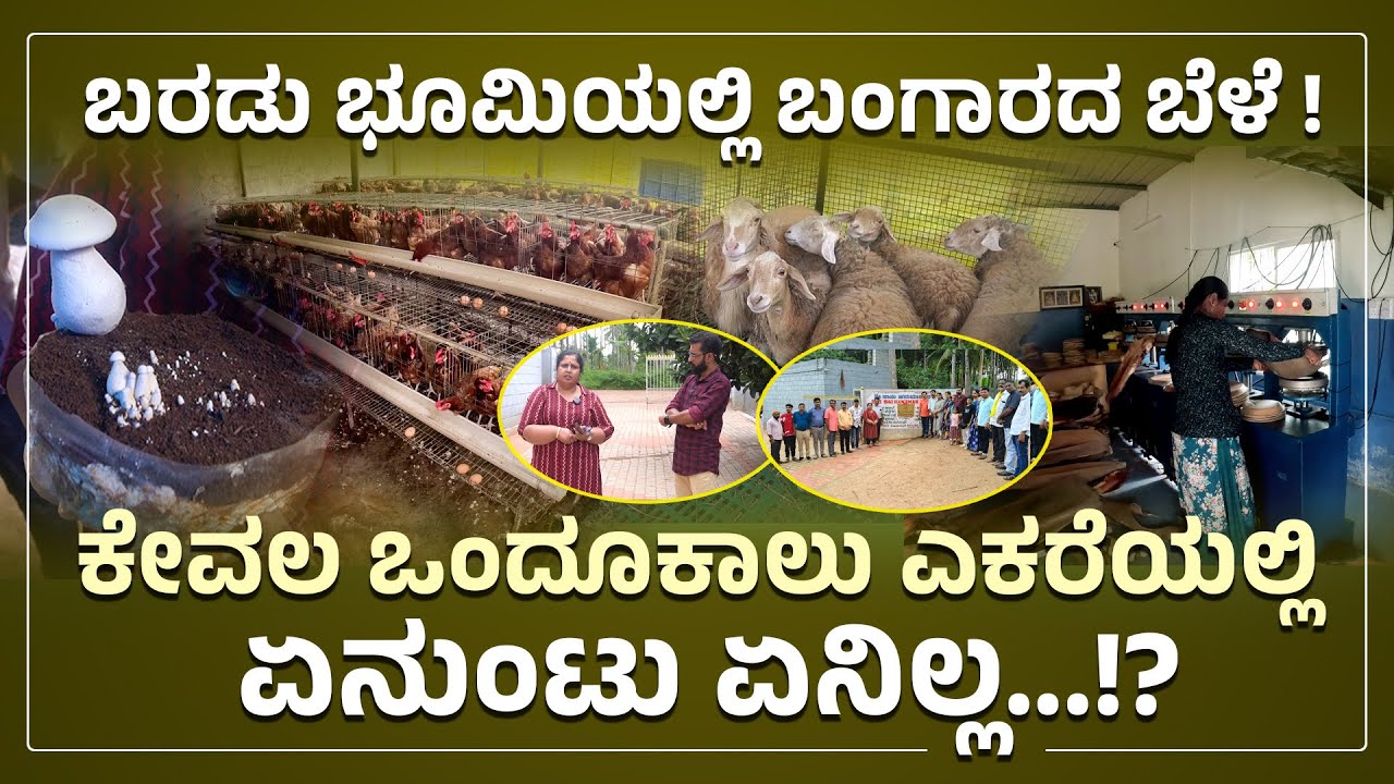 ಬರಡು ಭೂಮಿಯಲ್ಲಿ ಬಂಗಾರದ ಬೆಳೆ ! | ಕೇವಲ ಒಂದೂಕಾಲು ಎಕರೆಯಲ್ಲಿ ಏನುಂಟು ಏನಿಲ್ಲ...!?