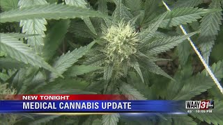 Medical Cannabis Update