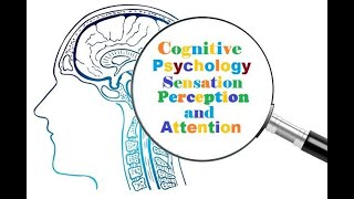Lecture 7-Sensation and Perception
