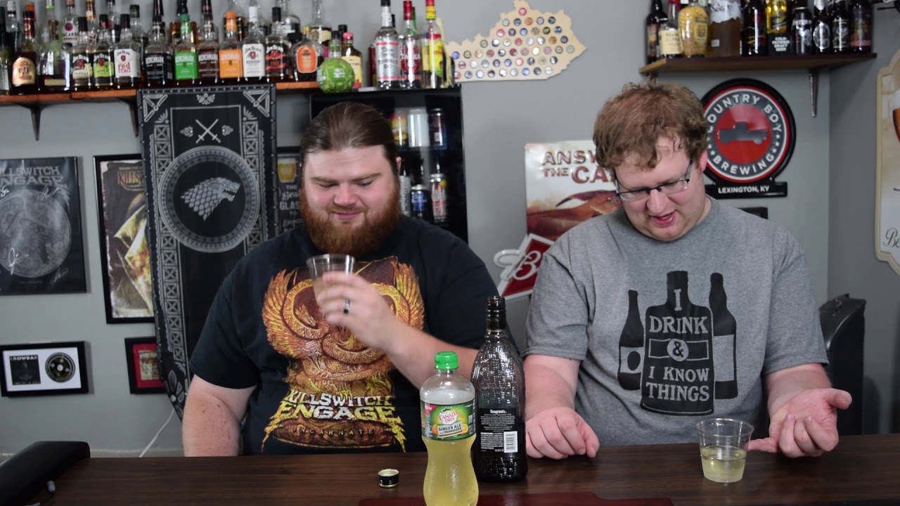 Canada Dry Ginger Ale And Orangeade Review!