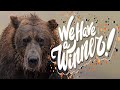 Bear Print Giveaway Winners Announced and Channel Update News.