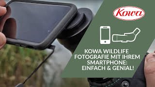 KOWA WILDLIFE FOTOGRAFIE MIT IHREM SMARTPHONE: EINFACH & GENIAL!
