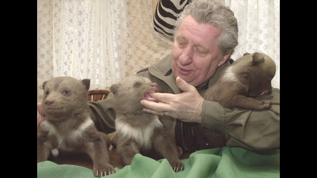 Dominanty Košíc - ZOO