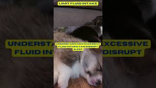 Limit Fluid Intake #baby #relaxing #shorts