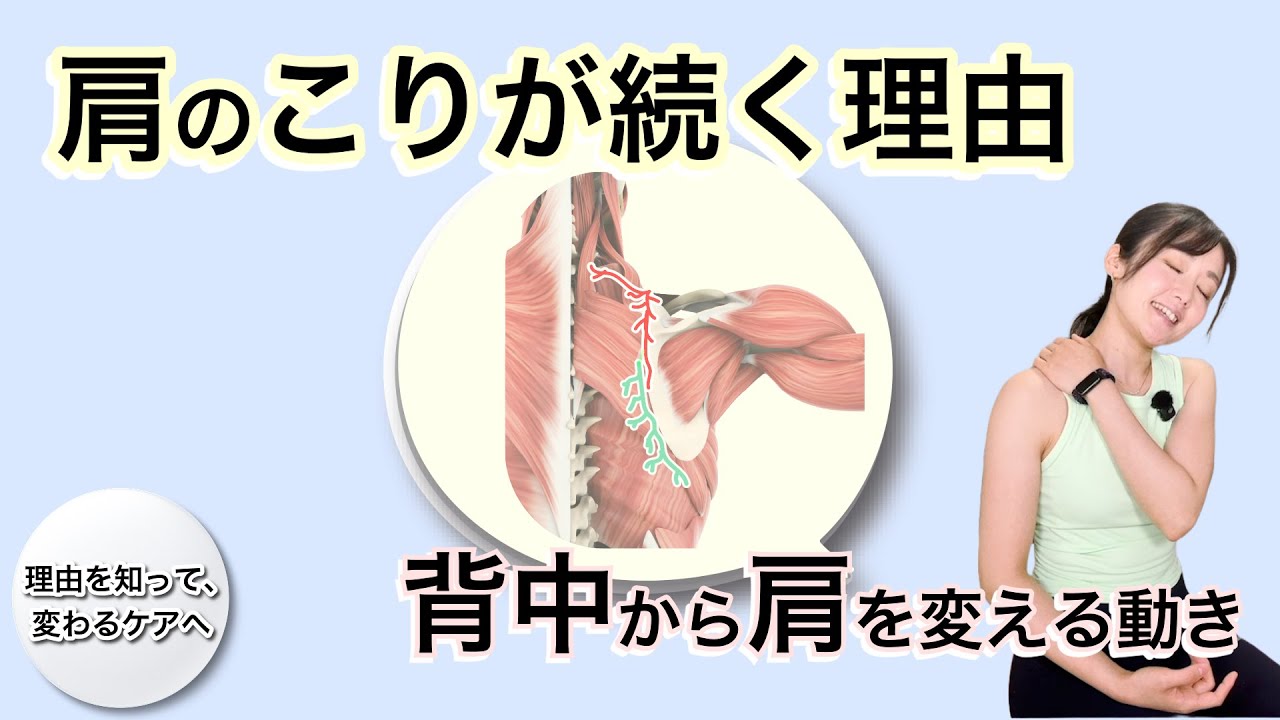肩のこりが変わらないのは背中の〇〇不足？一日10回からからだを変えていく方法｜195