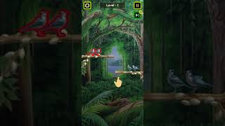 Bird Sorting Part 1 screenshot 2