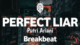 DJ Perfect Liar Remix Breakbeat - Zoe Remix