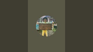 Experience the beauty and sweetness of Cambodian beekeeping! Follow us on