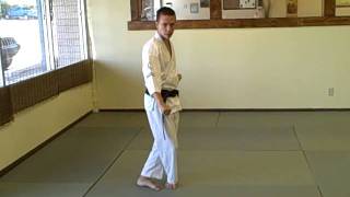 Wunsu Kata