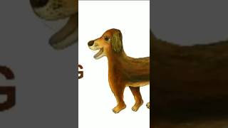 D for Dog next letter is dog abcd song for kids mini magic hub this is kids channel#learning #cartoo