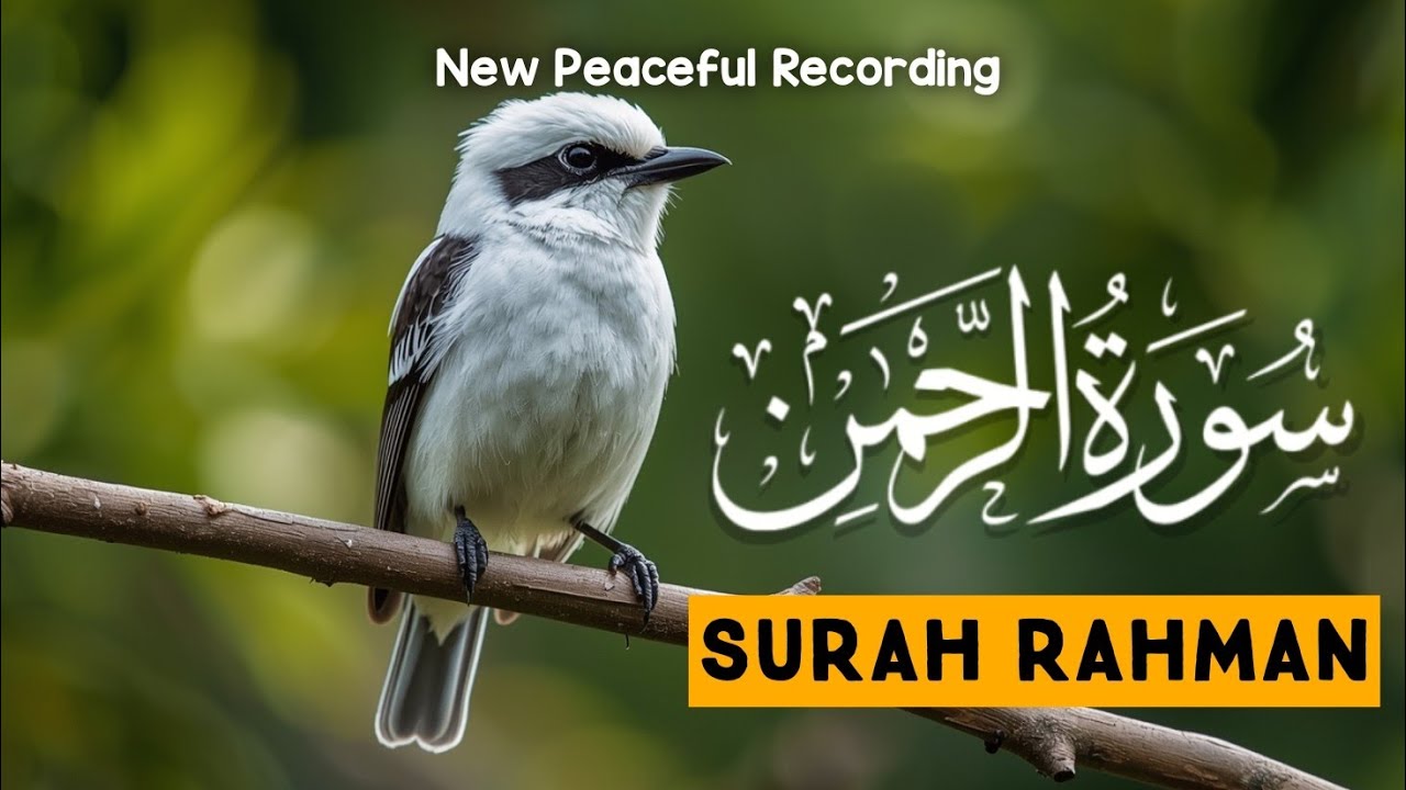 Surah Rahman Full (NEW 2026) | سورة الرحمن | Beautiful & Emotional Quran Recitation
