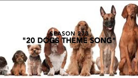 20 Dogs Theme Song
