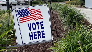 ‘Free, fair and now fast’: Elections chief weighs in on voter experince