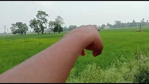 Near #davschool Sampatchak#patna #bihar #road30Feet #9kattha #32Lakh/Kattha