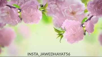 اروع تلاوة سورة الدخان  محمد المقيط
