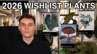 2026 Wishlist: Anthurium and More