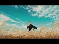 ヨルシカ - 千鳥(OFFICIAL VIDEO)- (1 Hour)