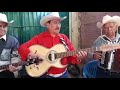 Popurri de canciones. Los jilqueritos, rigo morales, los hermanos pineda y los ilegales de huetamo.