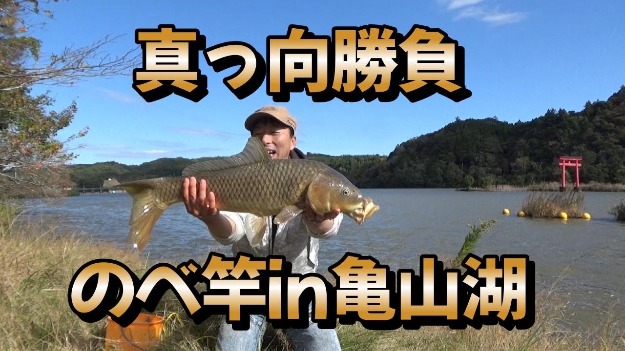 渡辺武の一緒に♥鯉釣りしませんか？～忖度なしのガチンコのべ竿勝負！亀山湖の鯉ちゃんと腕比べ！の巻き～