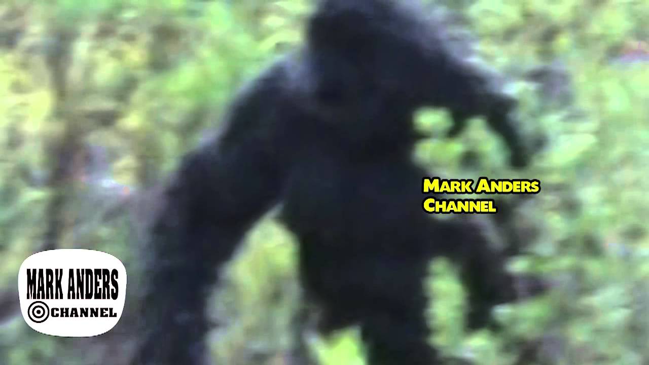 BIGFOOT SIGHTING Oklahoma 